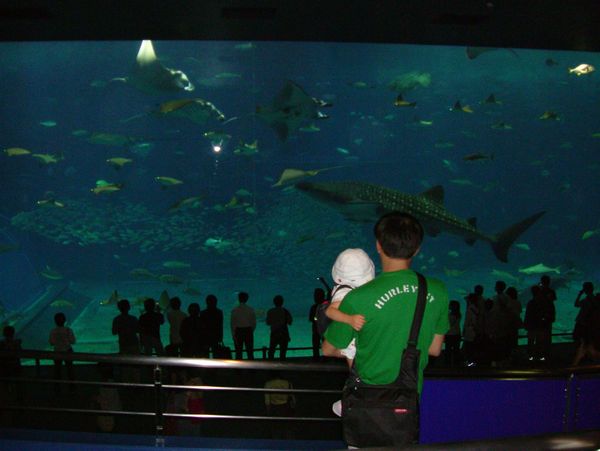 日本・沖縄県「沖縄遠征2003」の写真