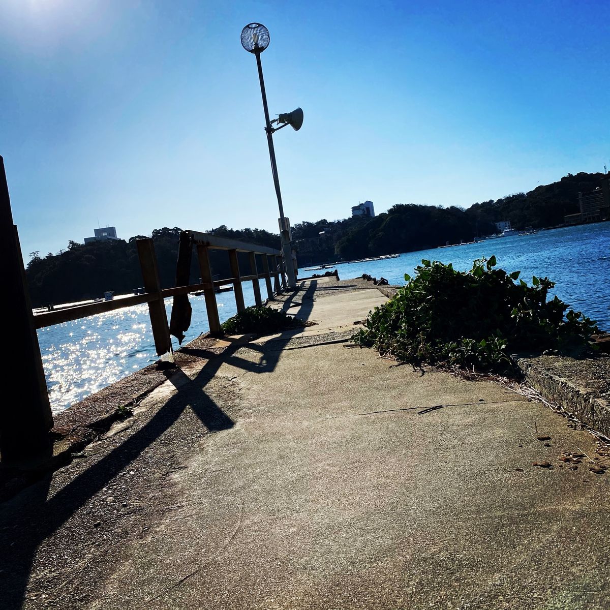 鳥羽水族館からの鳥羽宿泊
翌日伊勢神宮参拝