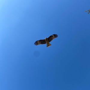 鳥羽水族館からの鳥羽宿泊
翌日伊勢神宮参拝