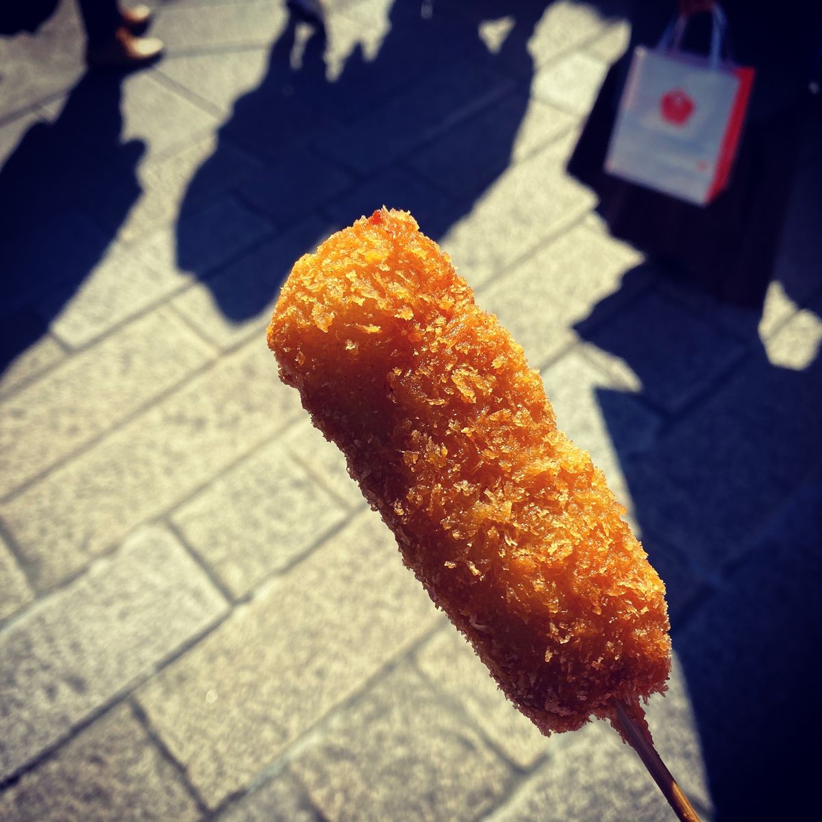 鳥羽水族館からの鳥羽宿泊
翌日伊勢神宮参拝