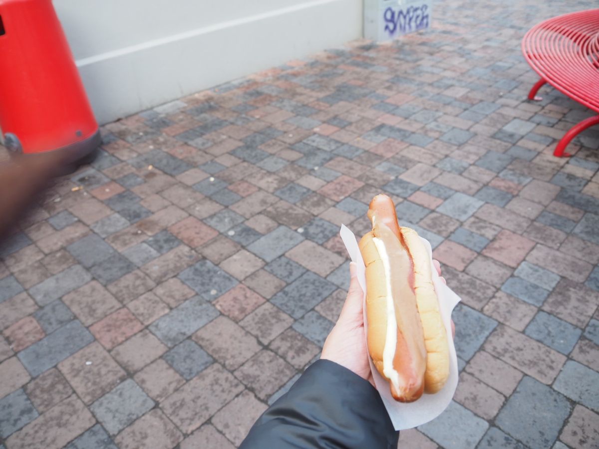 おまけ　アイスランド編
やっぱり物価の高さに驚愕

コンビニでオレンジジュ...
