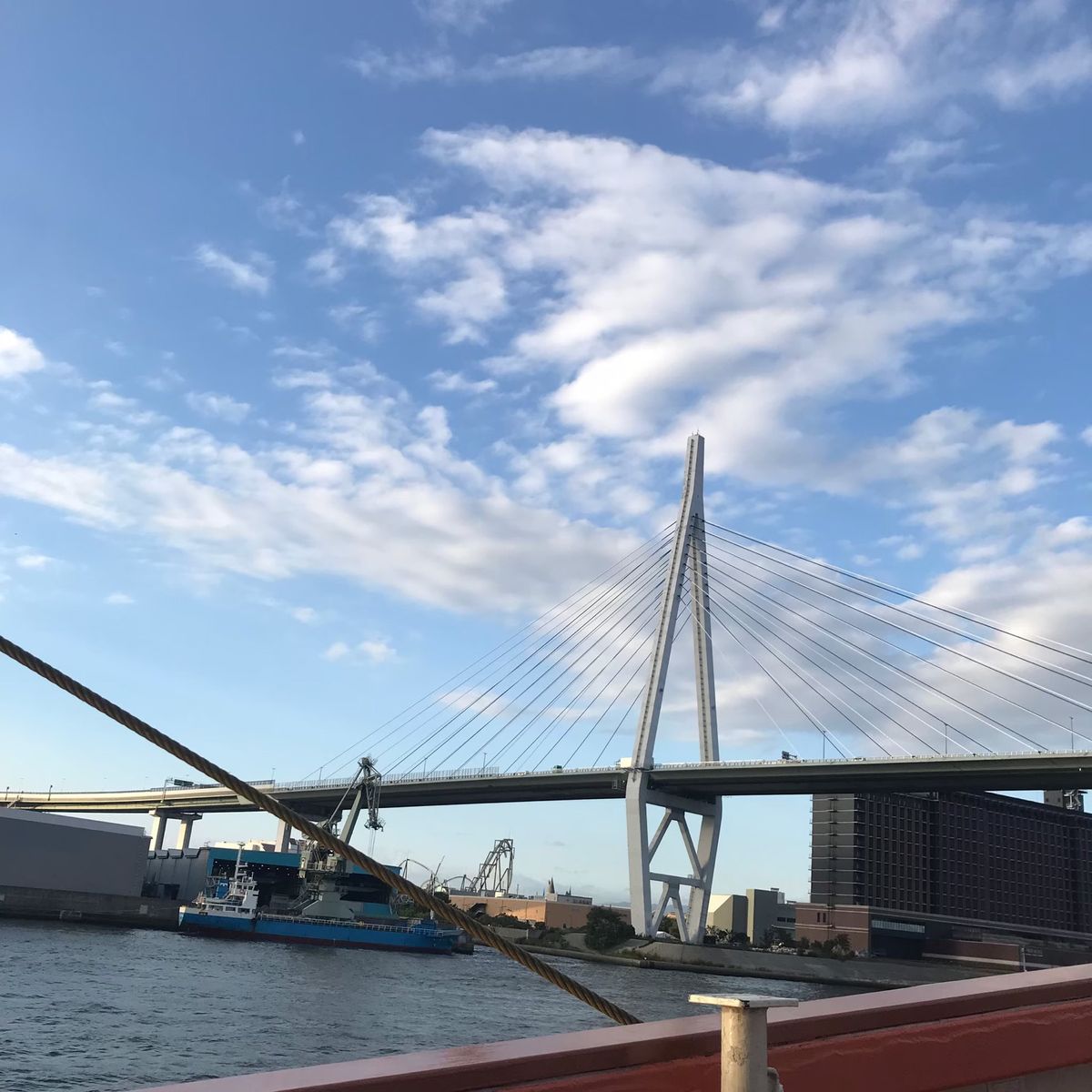 ポートタワー
海遊館