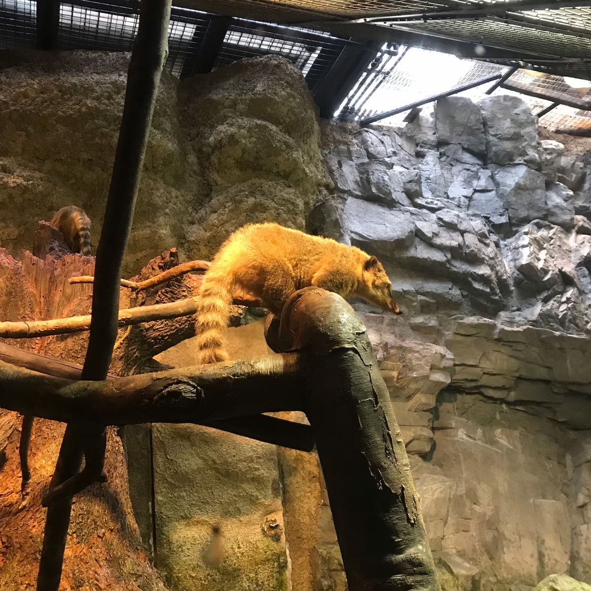 ポートタワー
海遊館