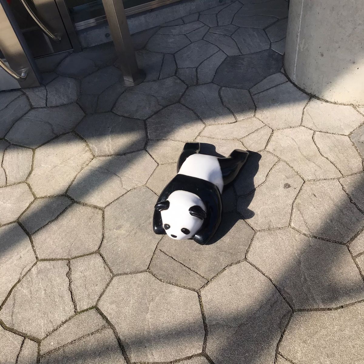 とれとれ市場
アドベンチャーワールド
白良浜