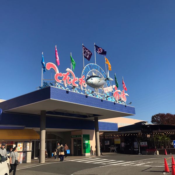 日本・和歌山県「兵庫→白浜」の写真：とれとれ市場
アドベンチャーワールド
白良浜