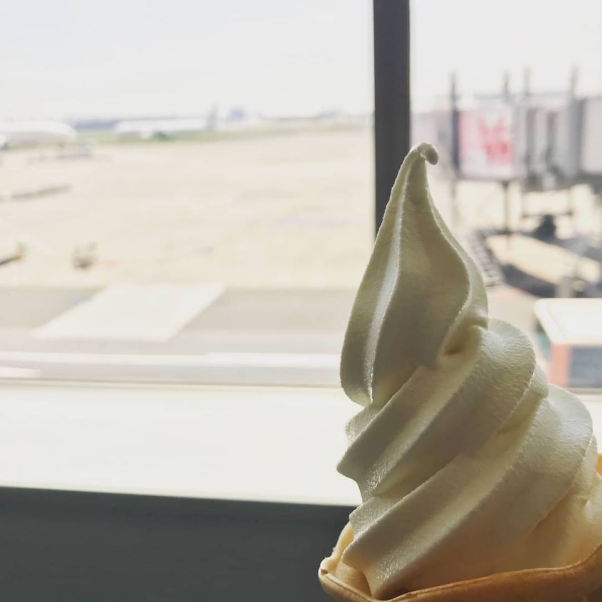 4日目
東京到着。
5日目
人間交差点参戦
6日目
羽田より帰宅