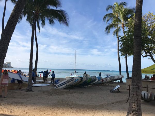 アメリカ(米国)・ハワイ「ハワイ旅行」の写真