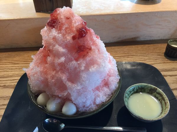 日本・淡路島「淡路島旅行」の写真