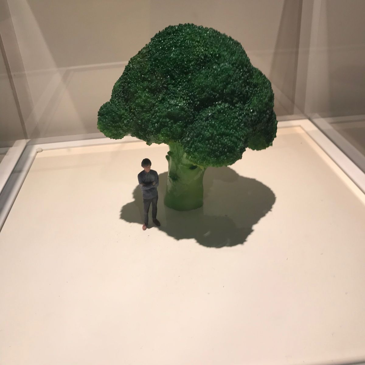 Perfumeのライブ観戦
ミニチュア展