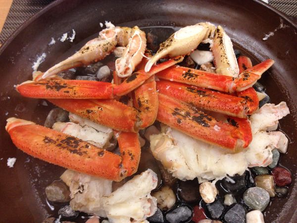 日本・鳥取県「鳥取　砂の美術館」の写真