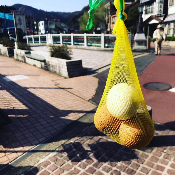 日本・兵庫県「兵庫→湯村温泉」の写真