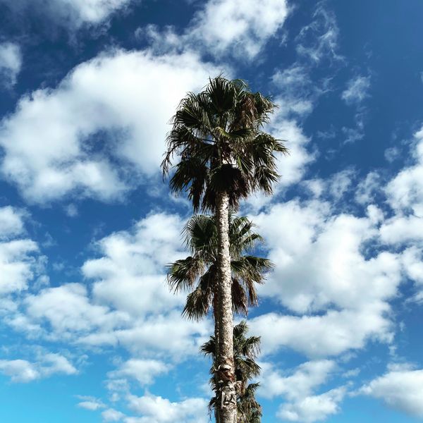 日本・兵庫県「兵庫→舞子」の写真