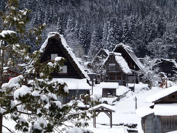 日本・白川郷「雪の白川郷」の写真