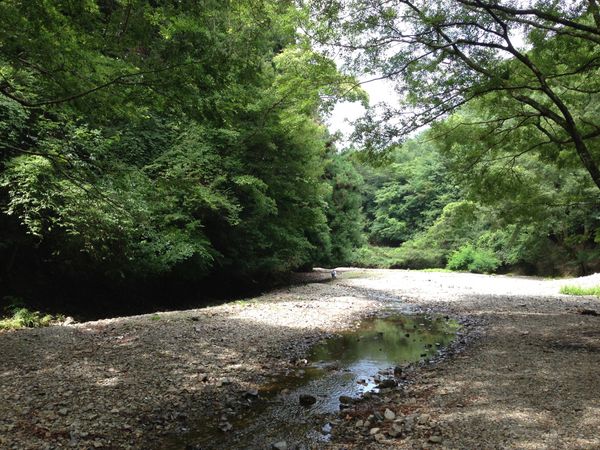 日本・大阪府「能勢ハイキング」の写真