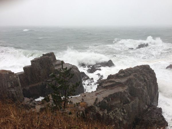 日本・福井県「福井旅行」の写真