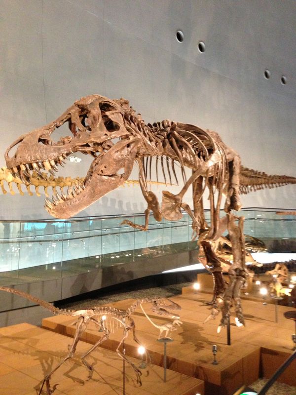 日本・福井県「福井旅行」の写真