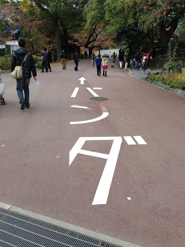 日本・兵庫県「王子動物園」の写真