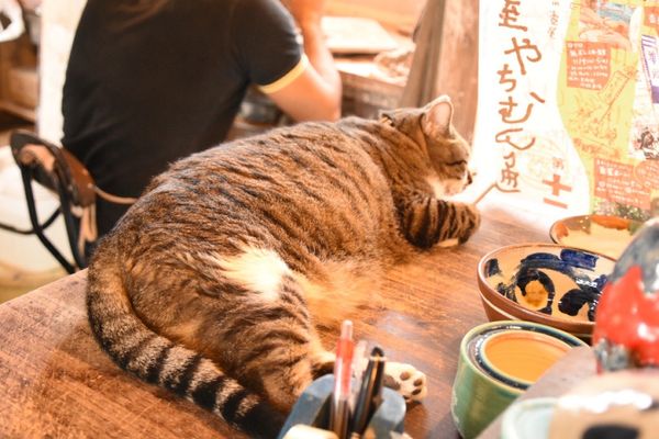 日本・沖縄県「3度目の沖縄」の写真