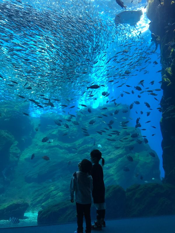 日本・宮城県「秋保温泉への旅」の写真