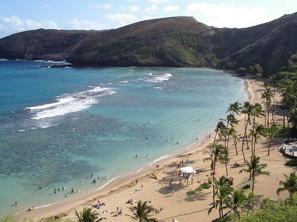 アメリカ(米国)・オアフ「3度目のハワイ」の写真