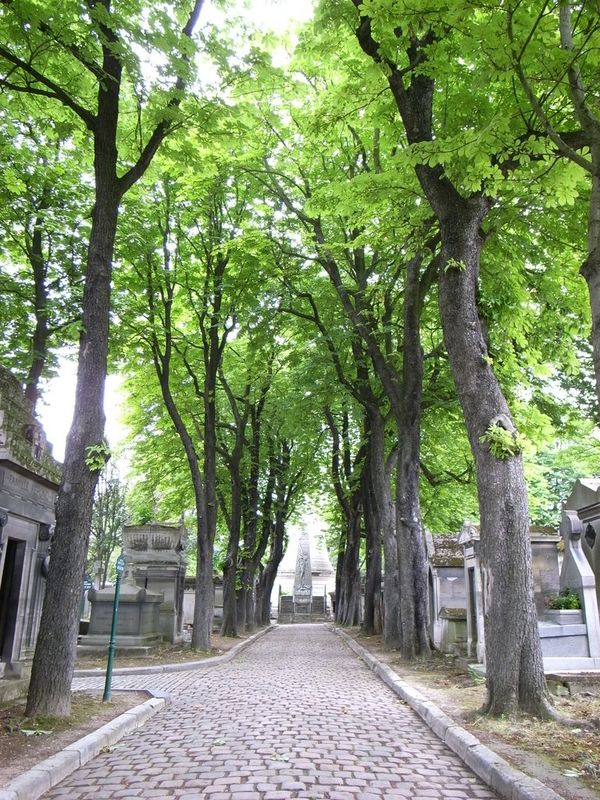 フランス「欧州周遊（フランス）」の写真：6月10日
どこだろうこれ。パリは適当に...