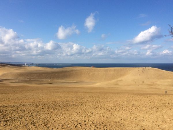 日本・島根県「急に休みが取れたので山陰とちょっとだけ山陽」の写真：真冬の砂丘。
厚着してる分、ドン引くする...
