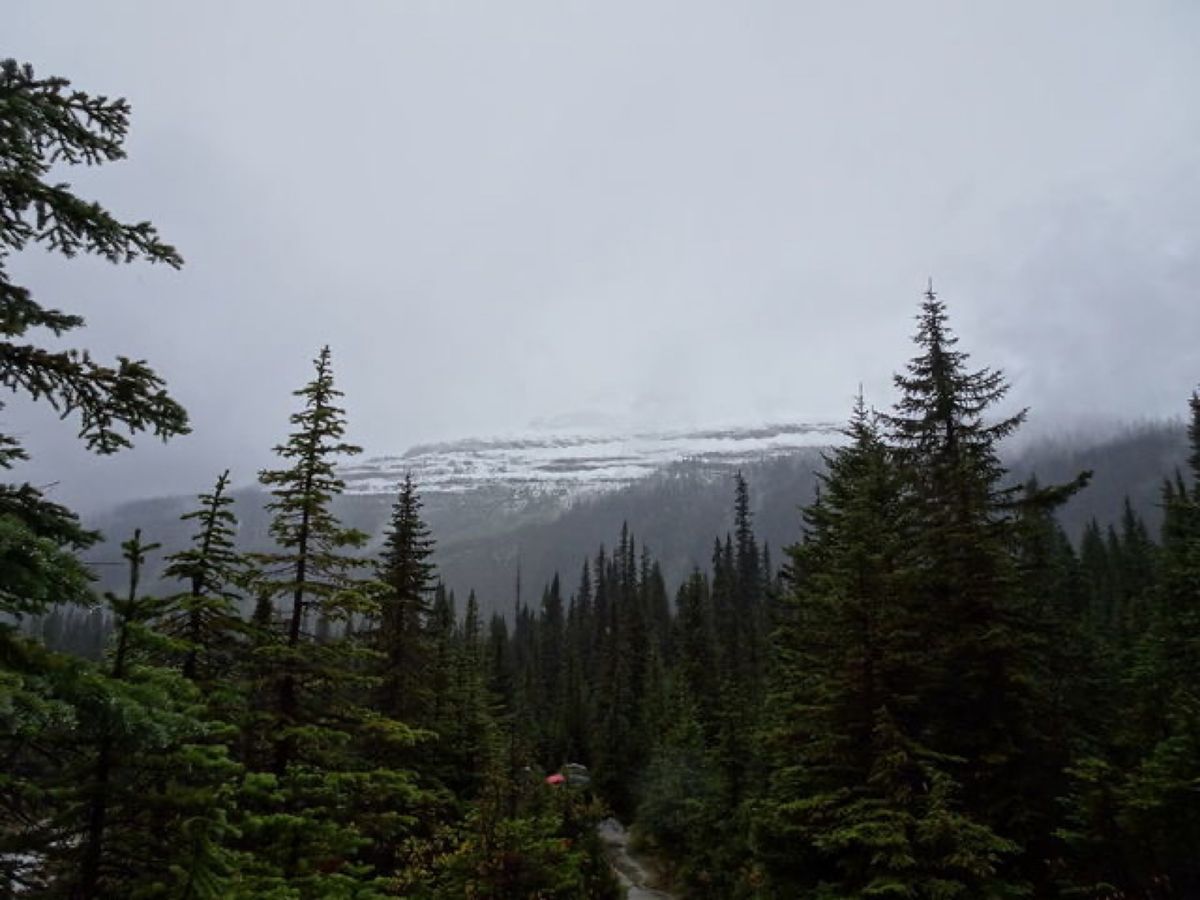 1枚目はタカカウ滝、2枚目はヨーホー川、3枚目はカナディアン・ロッキー、4...