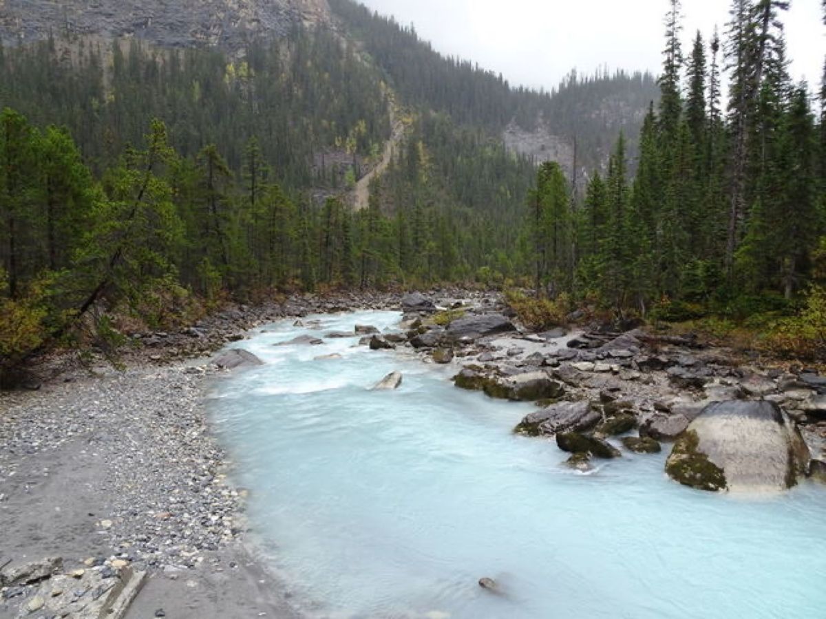 1枚目はタカカウ滝、2枚目はヨーホー川、3枚目はカナディアン・ロッキー、4...