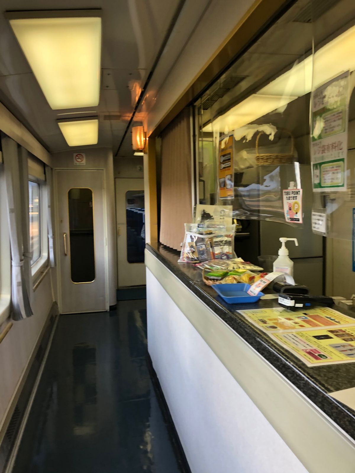 特急スペーシアに乗って帰京