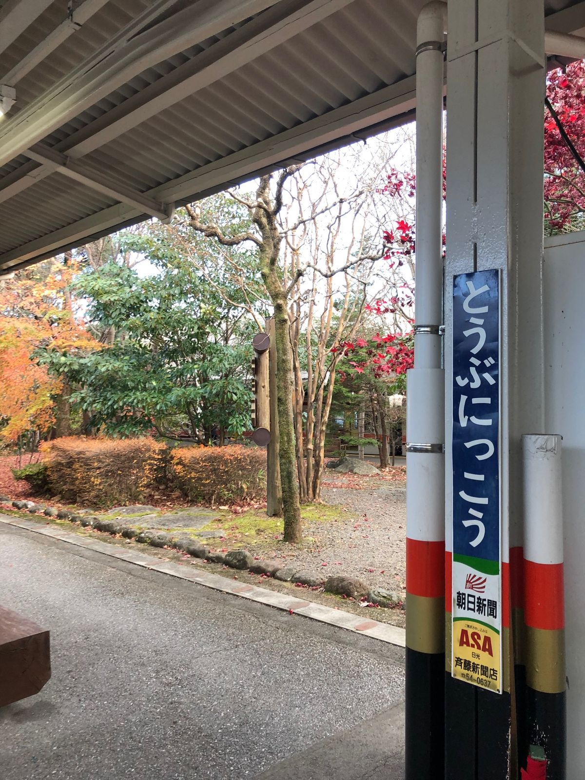 特急スペーシアに乗って帰京