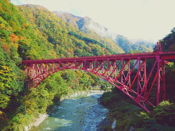 日本・飛騨高山「黒部峡谷･飛騨高山 旅行」の写真