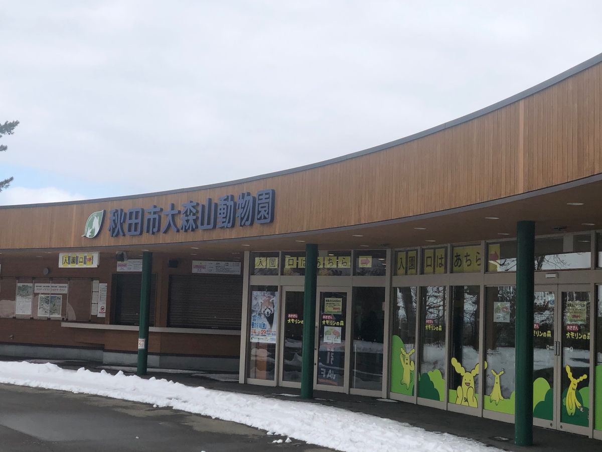 雪の秋田駅から大森山動物園