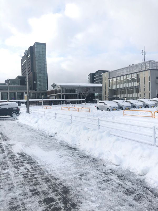 日本・秋田「秋田ライブ遠征」の写真：雪の秋田駅から大森山動物園