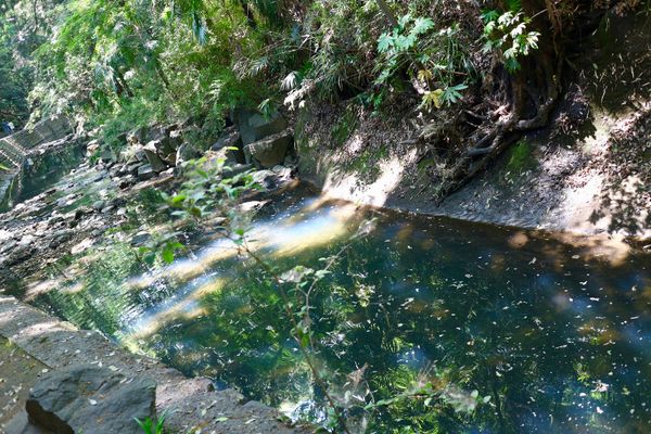 日本・東京都「等々力渓谷公園 お散歩」の写真