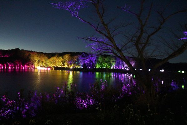 日本・埼玉県「飯能 チームラボ」の写真