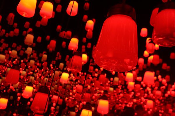 日本・東京都「チームラボボーダレス」の写真