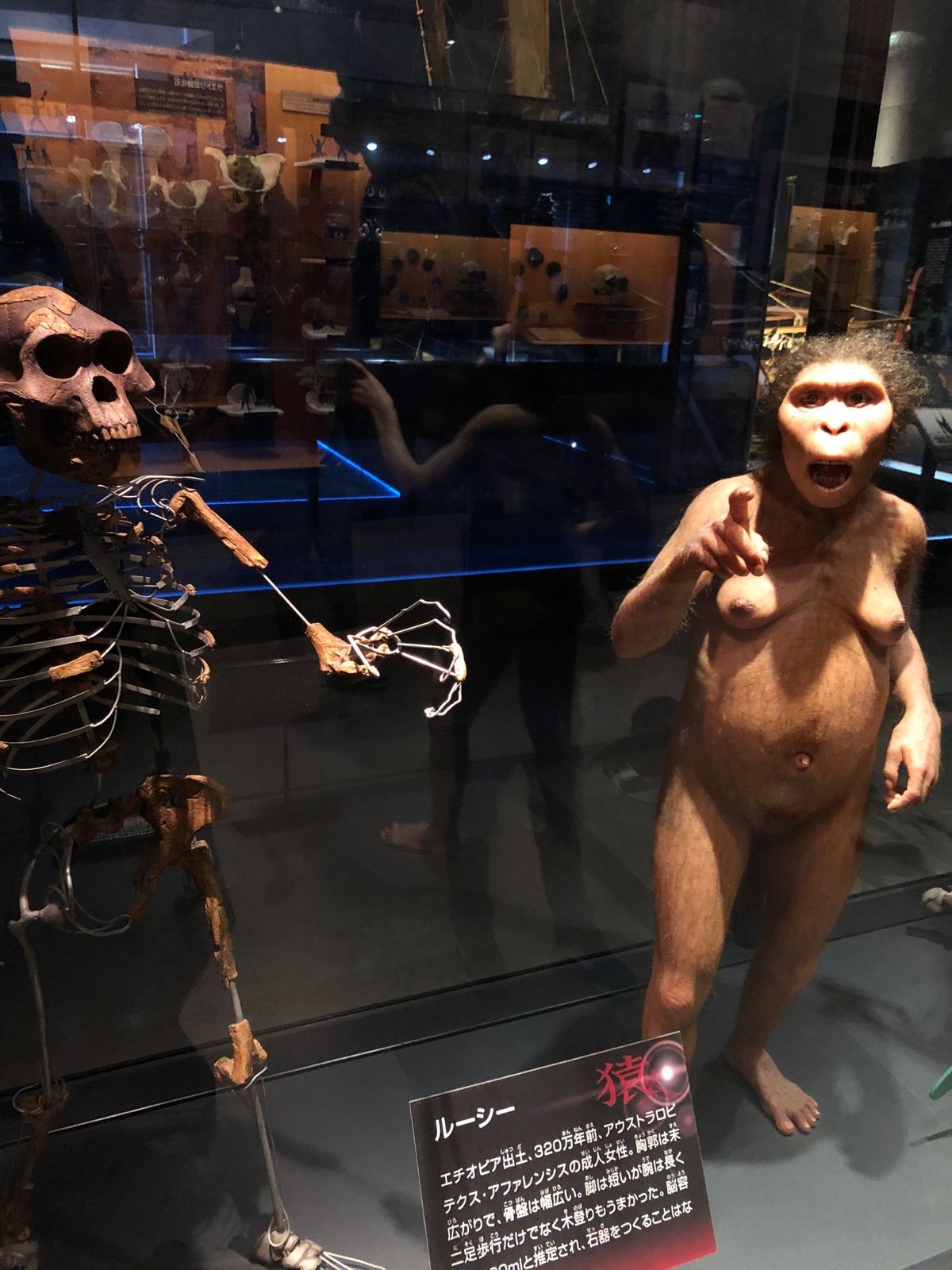 国立科学博物館