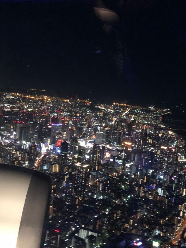 日本・東京「上野•国立科学博物館へ」の写真：羽田から伊丹へ帰阪
大阪上空