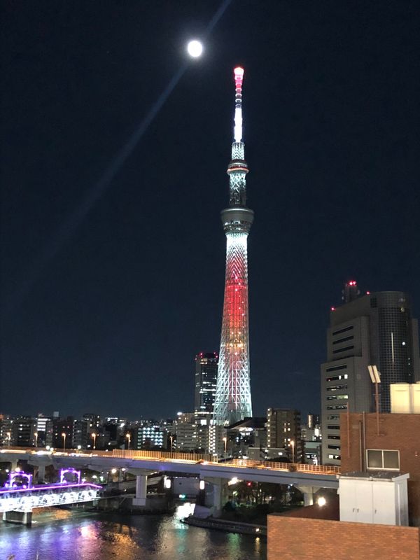 日本・東京「上野•国立科学博物館へ」の写真：浅草から東武特急乗って日光へ