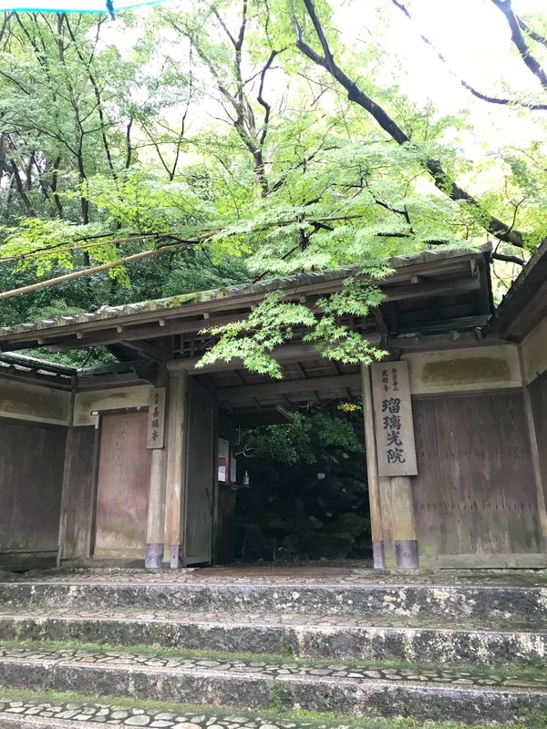 「京都旅行　2020」の写真：1枚目と2枚目、瑠璃光院
3枚目と4枚目、嵐山