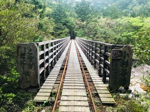 白谷雲水峡、縄文杉に行きました。
