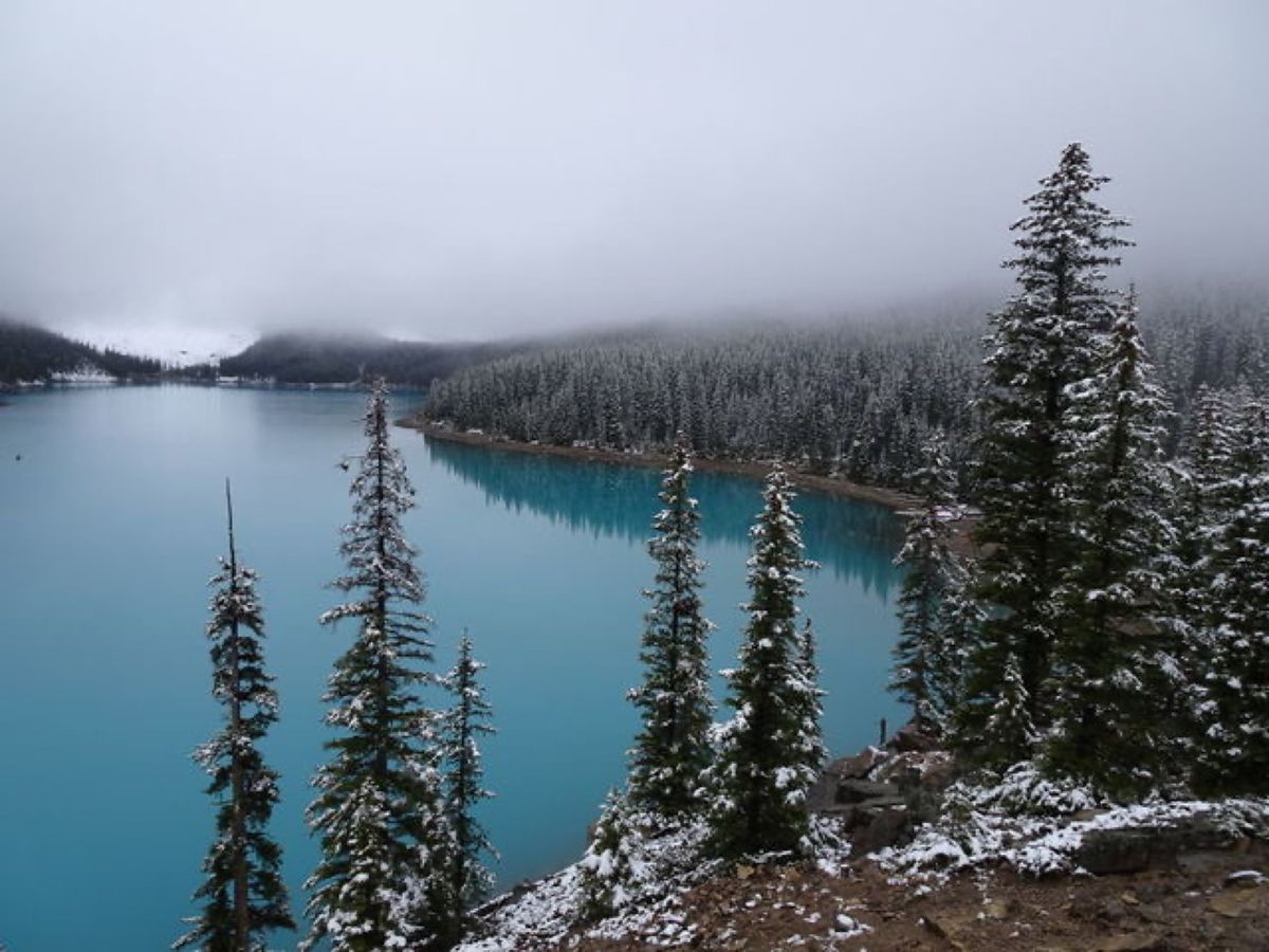 1枚目はビッグホーン・シープ、2枚目は黄葉、3枚目はモレイン湖、4枚目はア...