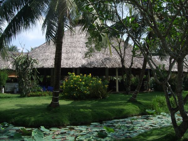 ベトナム・ホーチミン「ベトナム」の写真：メコン川クルーズで撮った写真がつまらなか...