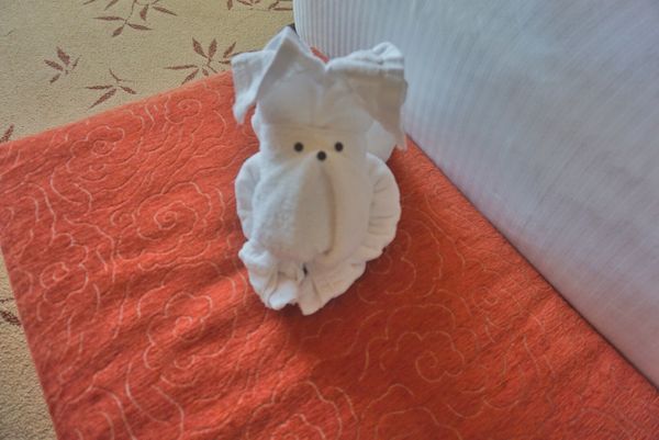 シンガポール「Singapore🇸🇬第6回母娘旅行👩‍👧」の写真：11st Feb. 2017 pic📷
...