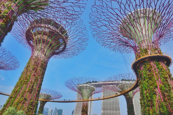 シンガポール「Singapore🇸🇬第6回母娘旅行👩‍👧」の写真：11st Feb. 2017 pic📷
...