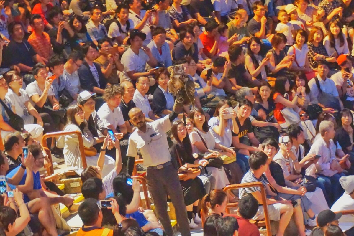 11st Feb. 2017 pic📷

Night Safari*°
ナ...