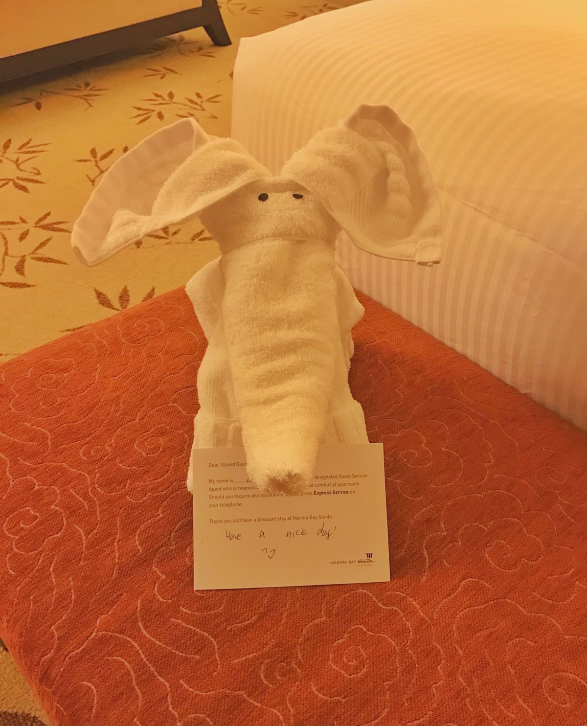 12nd Feb. 2017 pic📷

今度はゾウさんがお出迎えしてくれ...