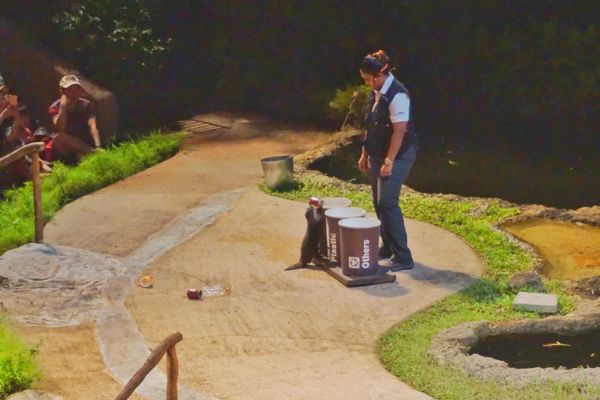 シンガポール「Singapore🇸🇬第6回母娘旅行👩‍👧」の写真：11st Feb. 2017 pic📷
...