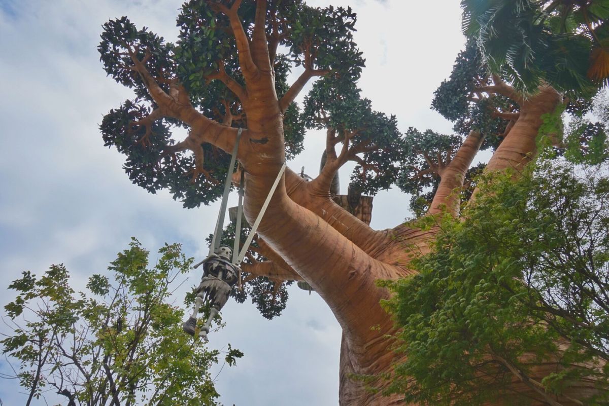 12nd Feb. 2017 pic📷

Universal Studio...