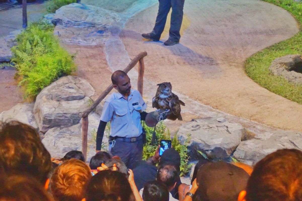 11st Feb. 2017 pic📷

Night Safari*°
ナ...